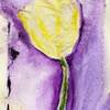 Tulip ~ Tissue with ink & watercolour wash with sanded pencil